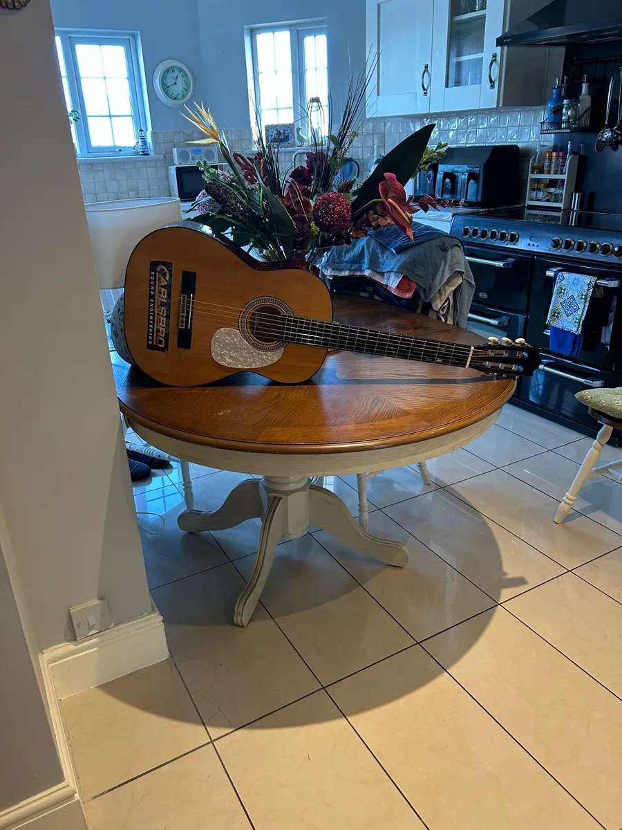 Century CG 530 Accoustic Guitar - Image 1