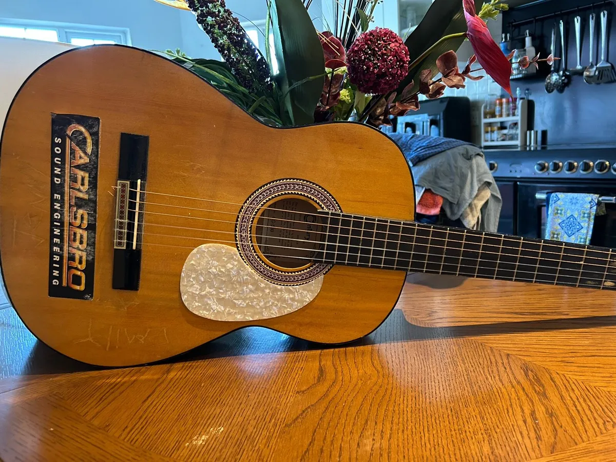 Century CG 530 Accoustic Guitar - Image 3