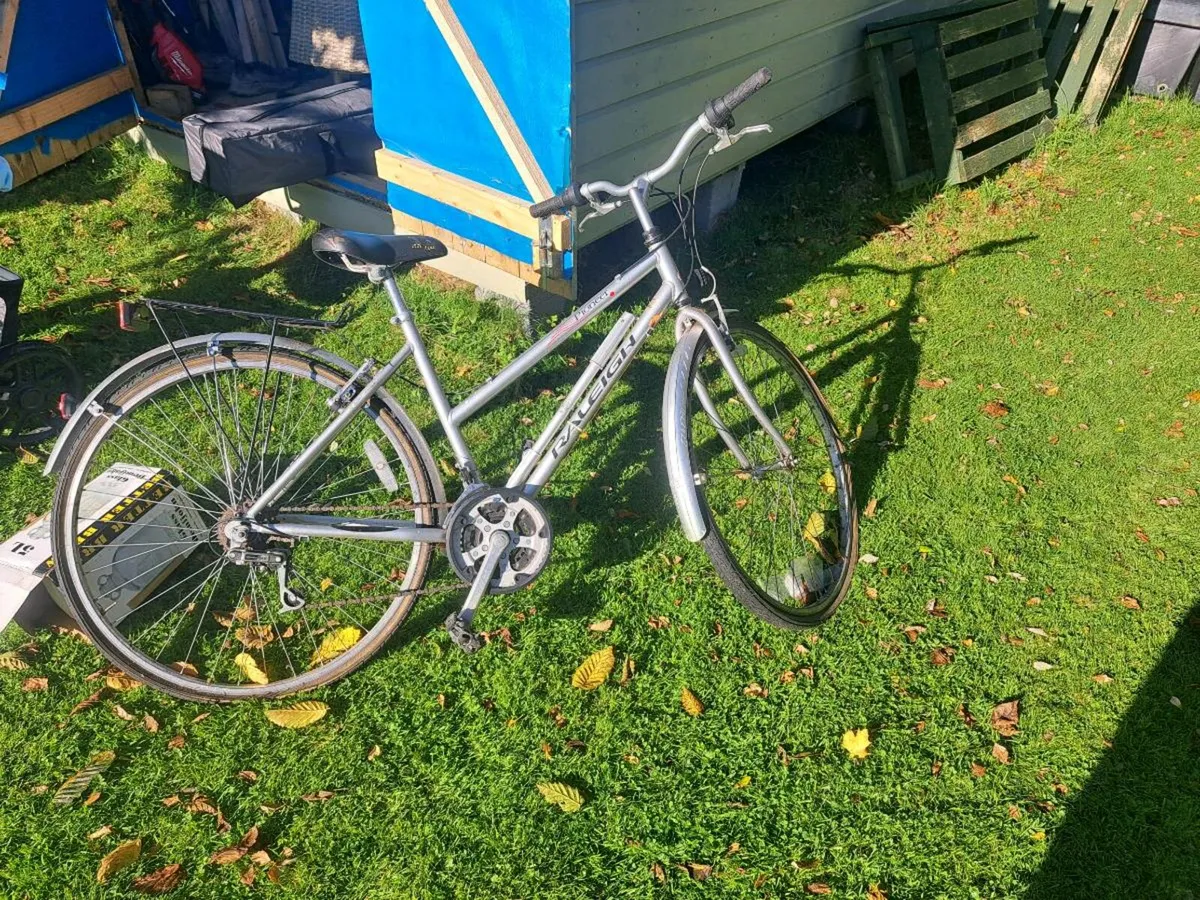 Pioneer Raleigh Bike - Image 1