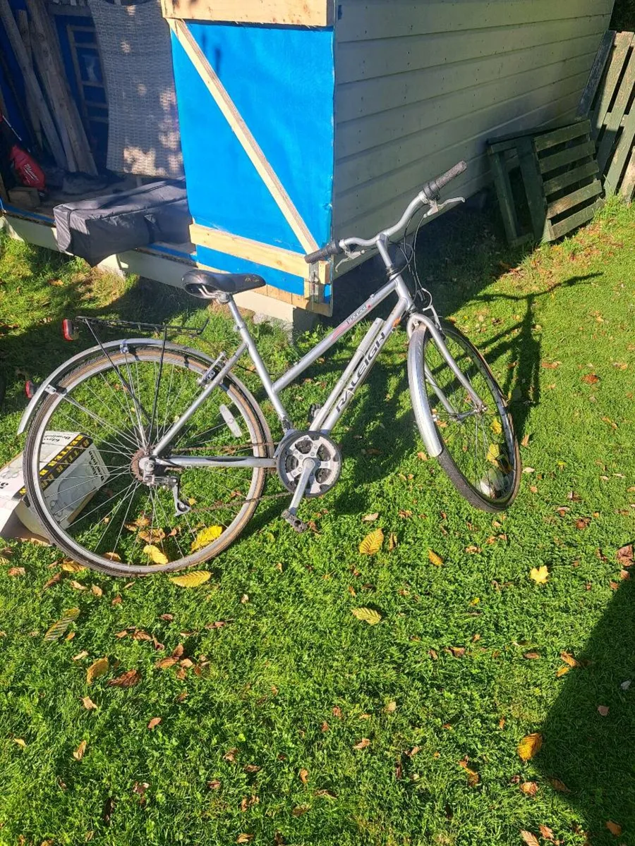 Pioneer Raleigh Bike - Image 2