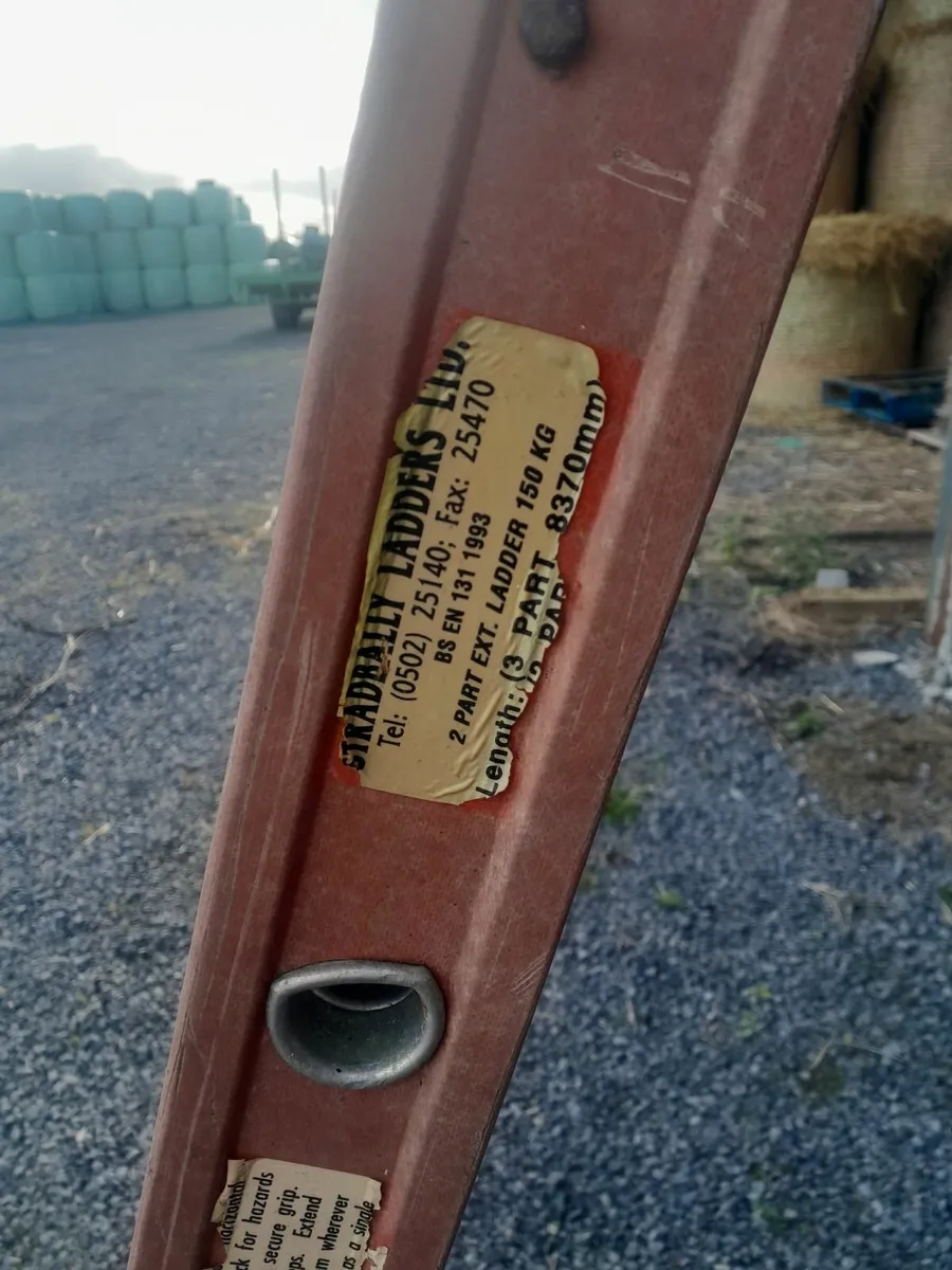Stradbally Fibreglass Ladder - Image 2