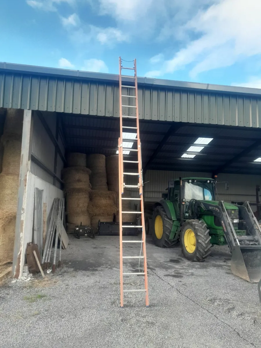 Stradbally Fibreglass Ladder - Image 1