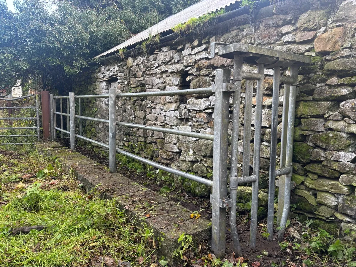Cattle Crush - Image 1