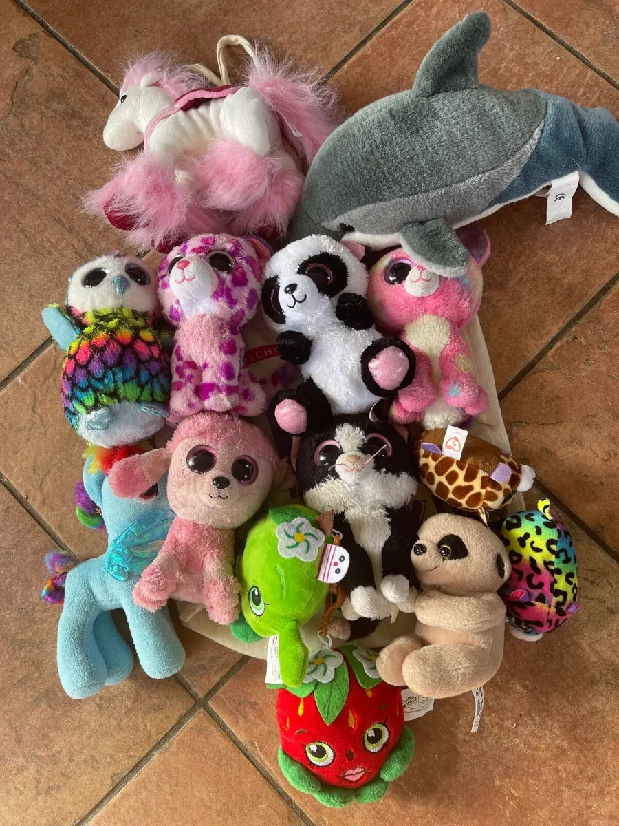 Ty Toys & Dorky books - Image 1