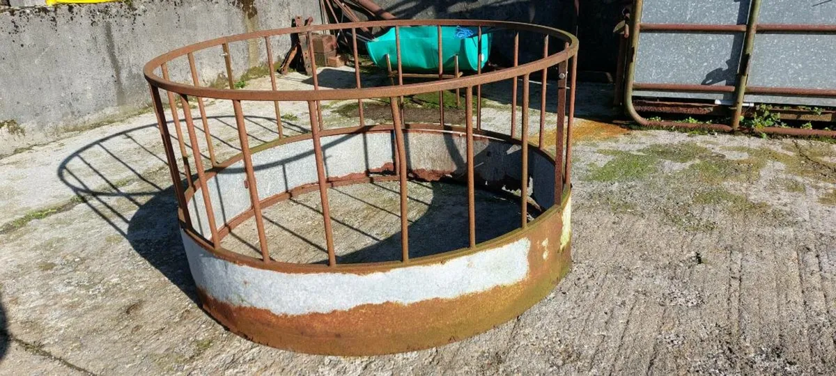 Multiple Feeding Equipment & De-Horning Crate - Image 2
