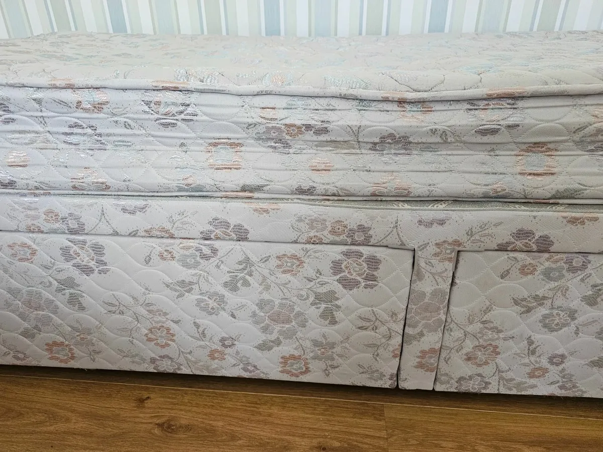 Single Bed free to take away - Image 2