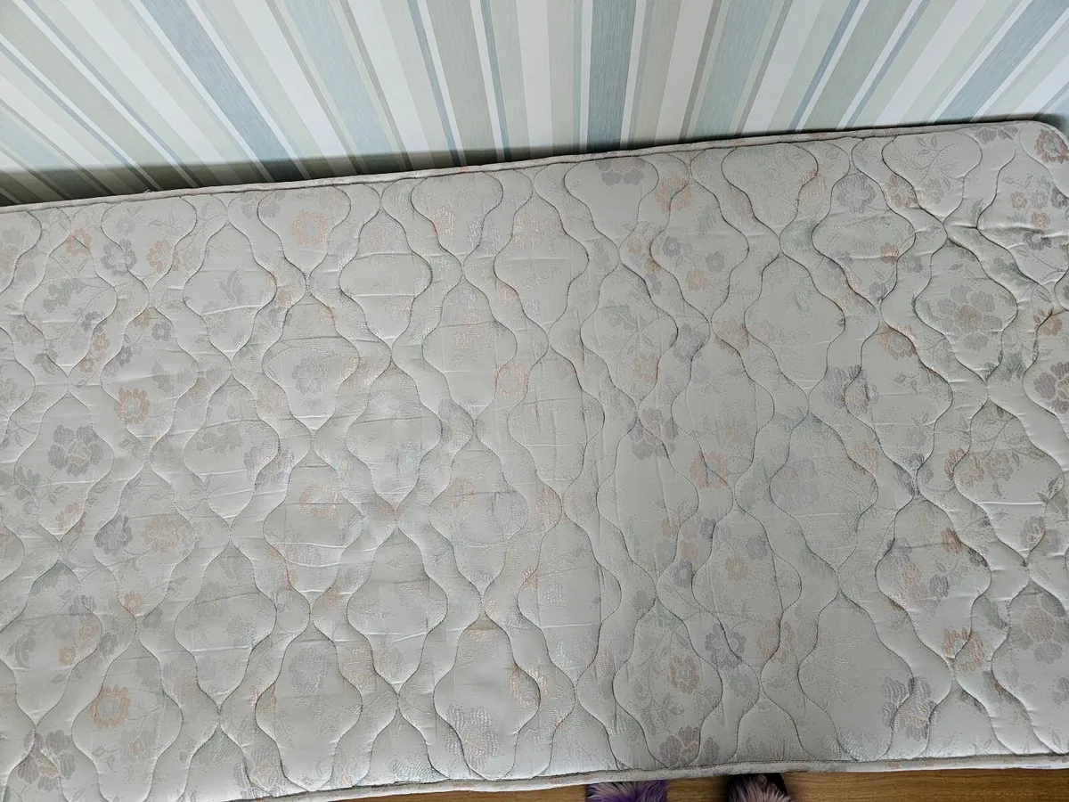 Single Bed free to take away - Image 3