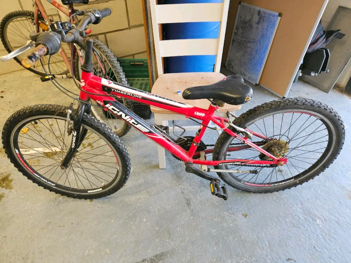 3 Bikes free to good home - Image 1