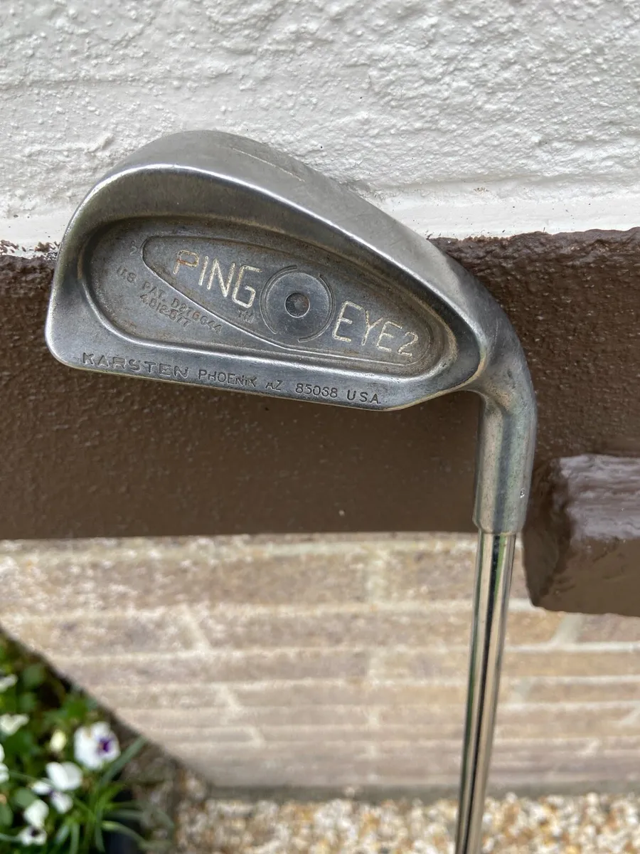 Ping eye 2.   1.  Iron - Image 1