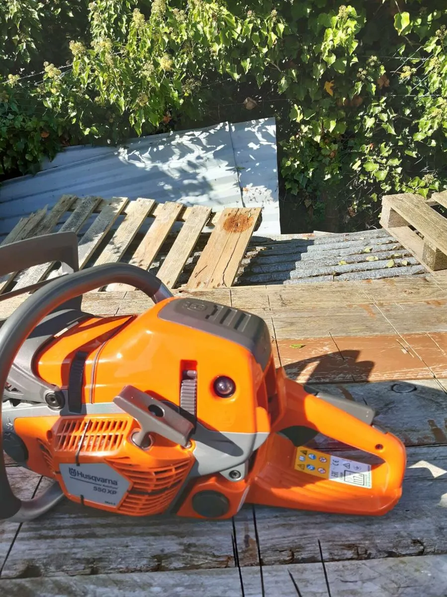 Chainsaw - Image 2