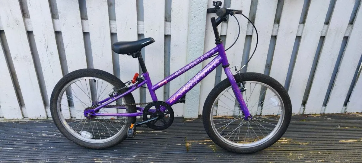 Child bicycle 22" - Image 1