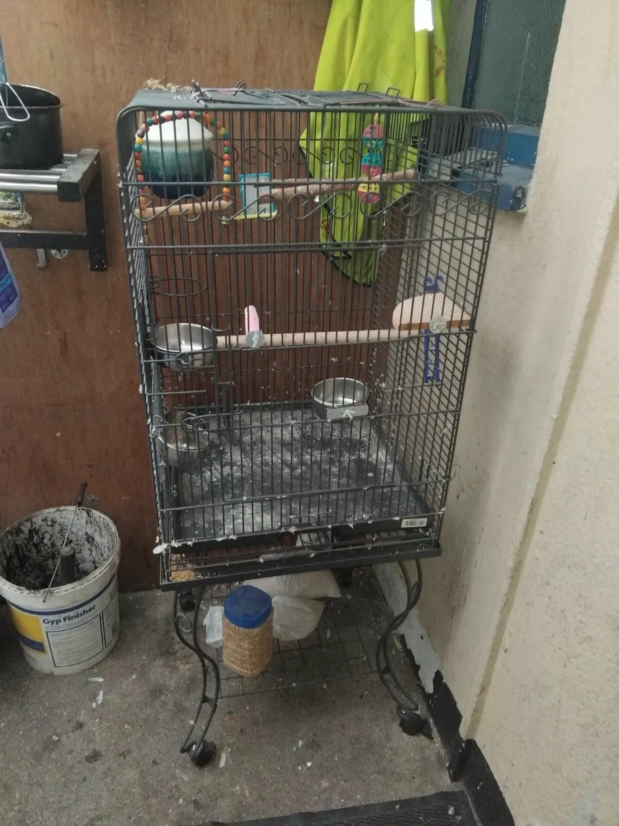 Brid cage & little stove & two pigeon s - Image 4