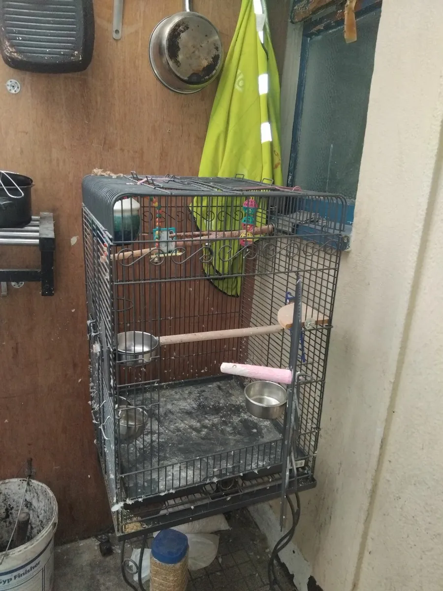 Brid cage & little stove & two pigeon s - Image 1