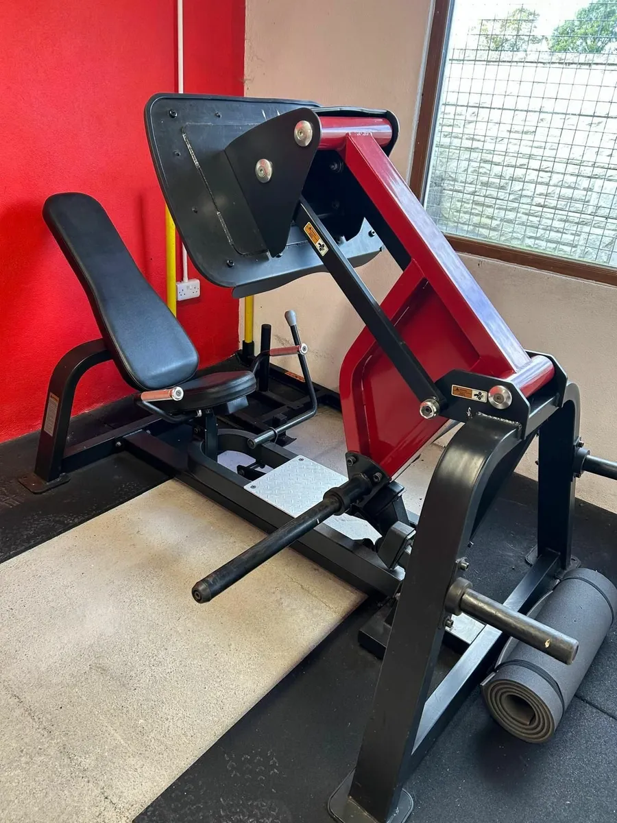Leg Press - Image 2
