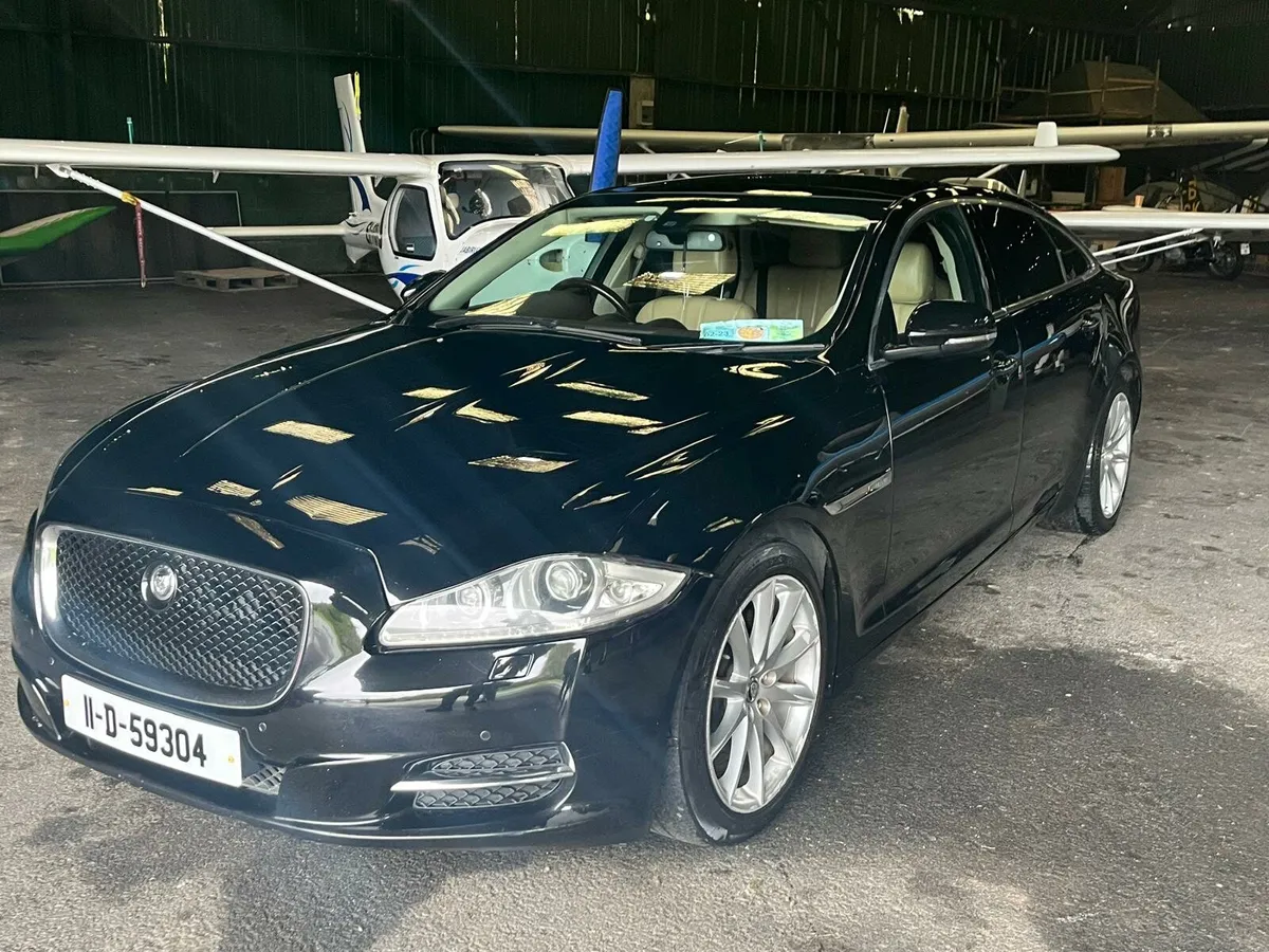Jaguar - Image 1