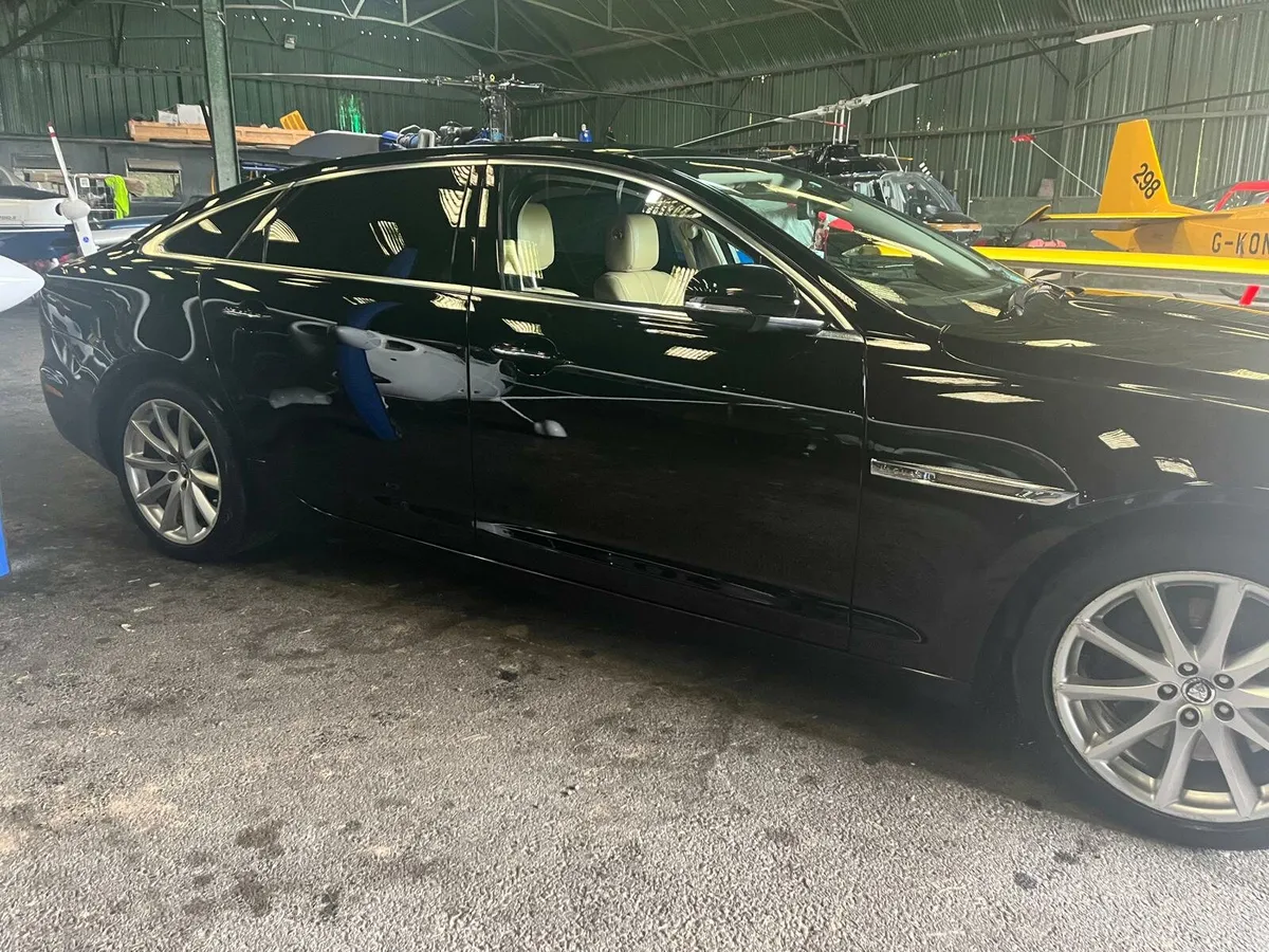 Jaguar - Image 3