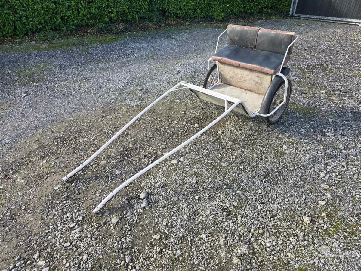 2 wheel road cart - Image 2