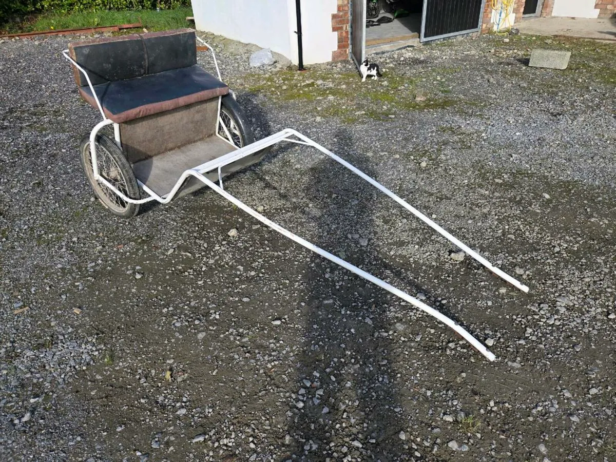 2 wheel road cart - Image 3