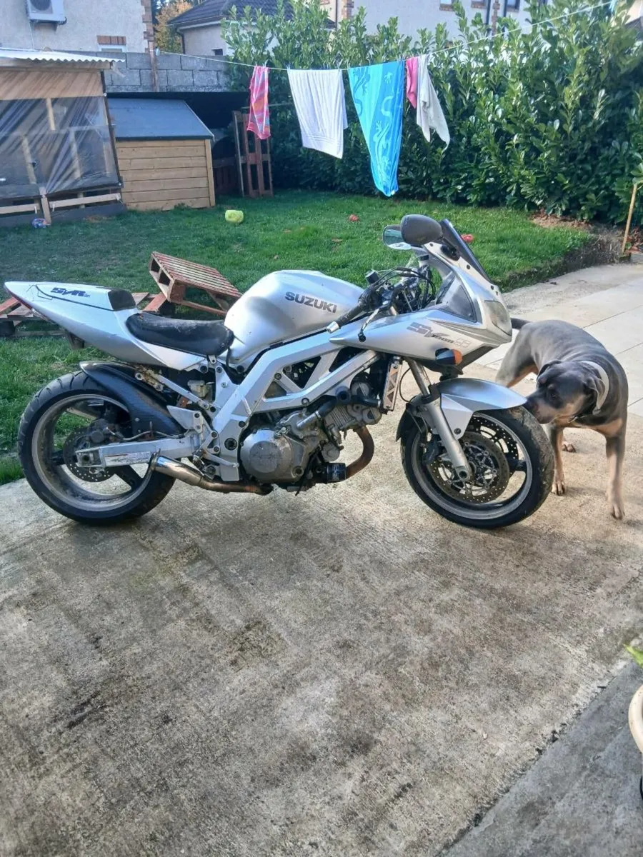 2003 sv 1000s - Image 2