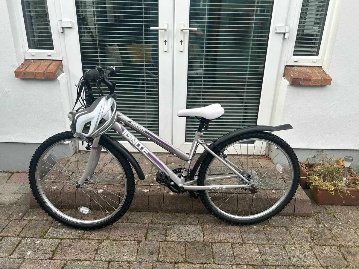 26-inch grey/purple bike for 10-14 year old girl - Image 2