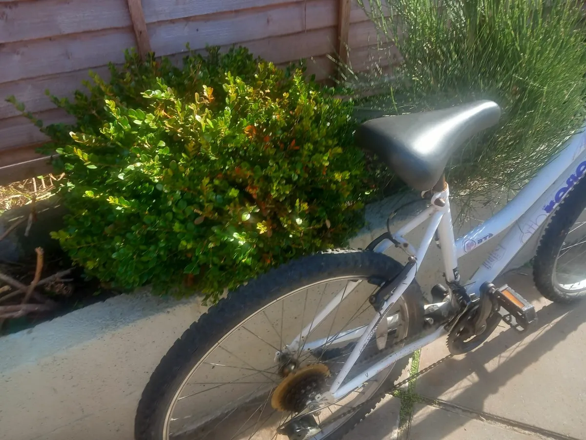 ladies bike - Image 3