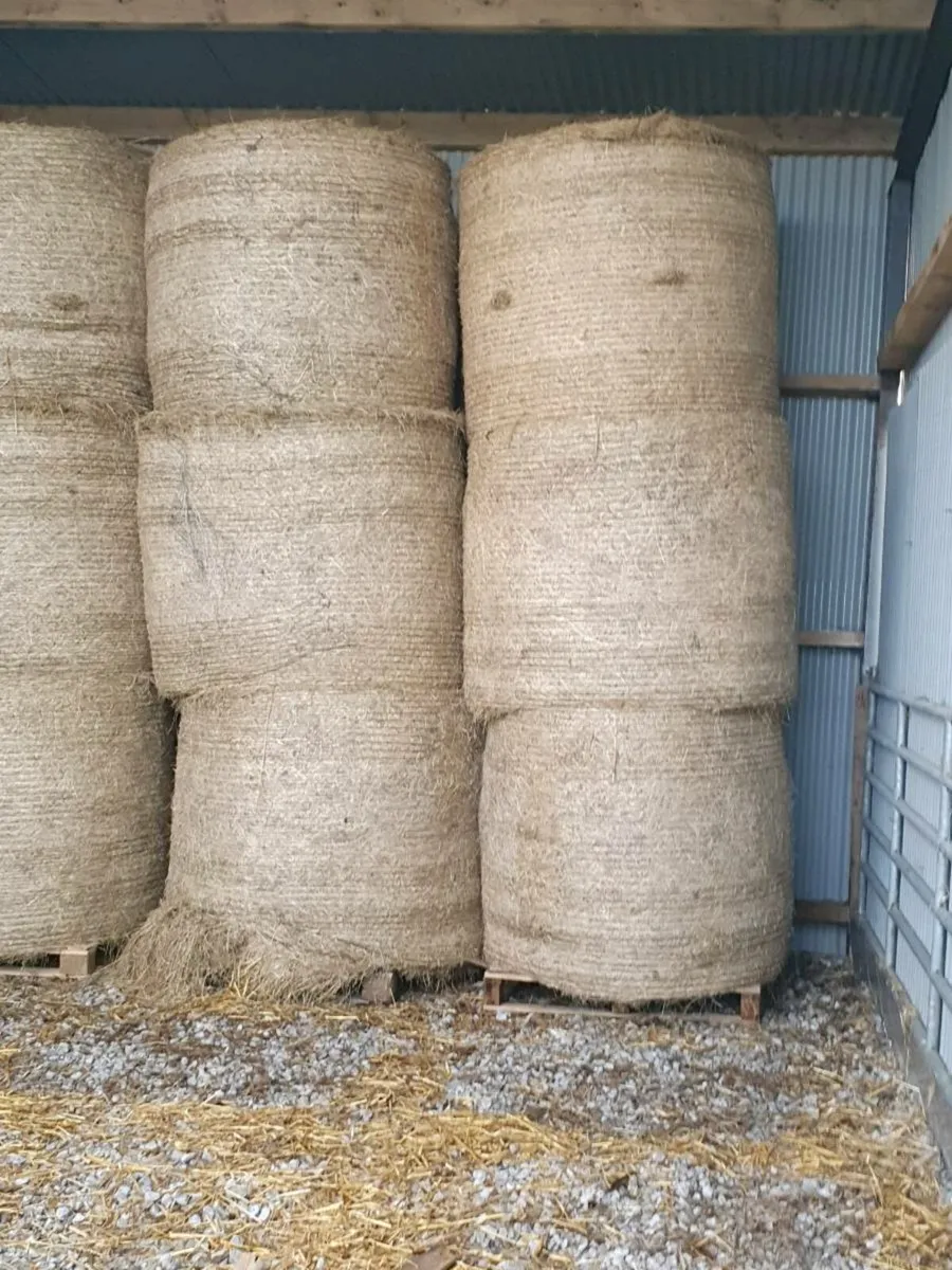 Top Quality Hay