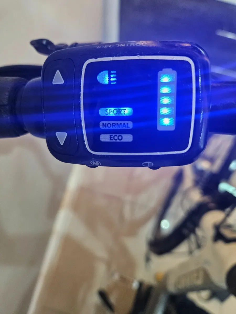Electric Bike Giant - Image 3