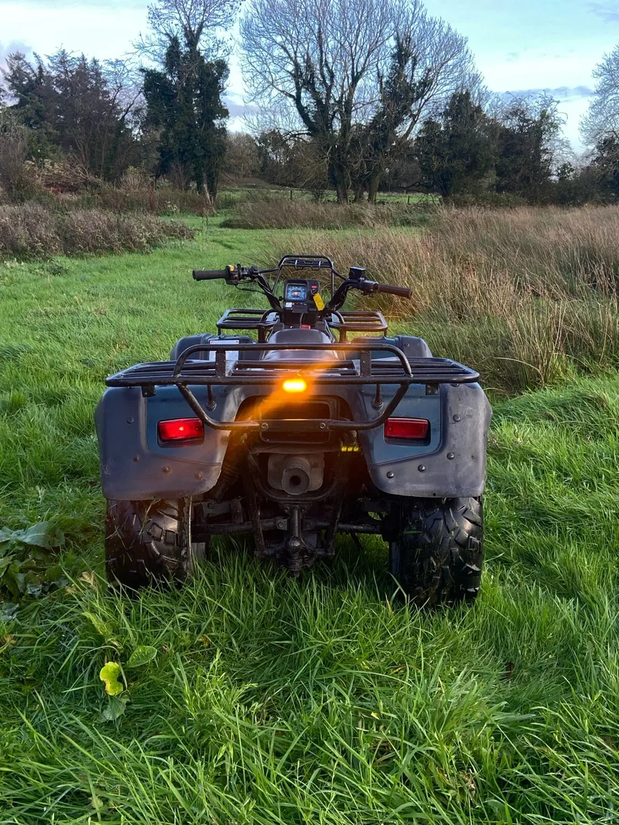 Suzuki ltf300f King quad - Image 3