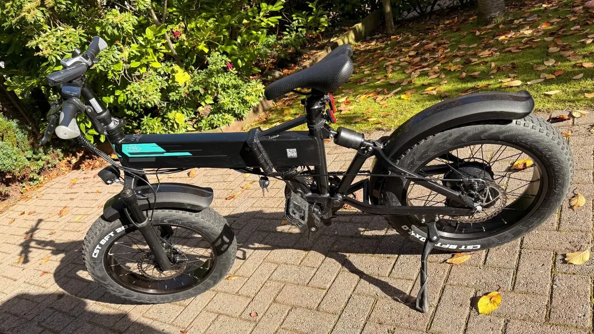 2023 Fiido M1 Pro E-Bike - Image 1