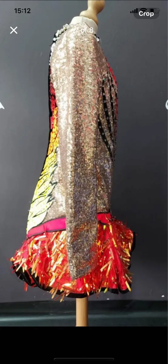 Irish Dancing Dress - Image 3
