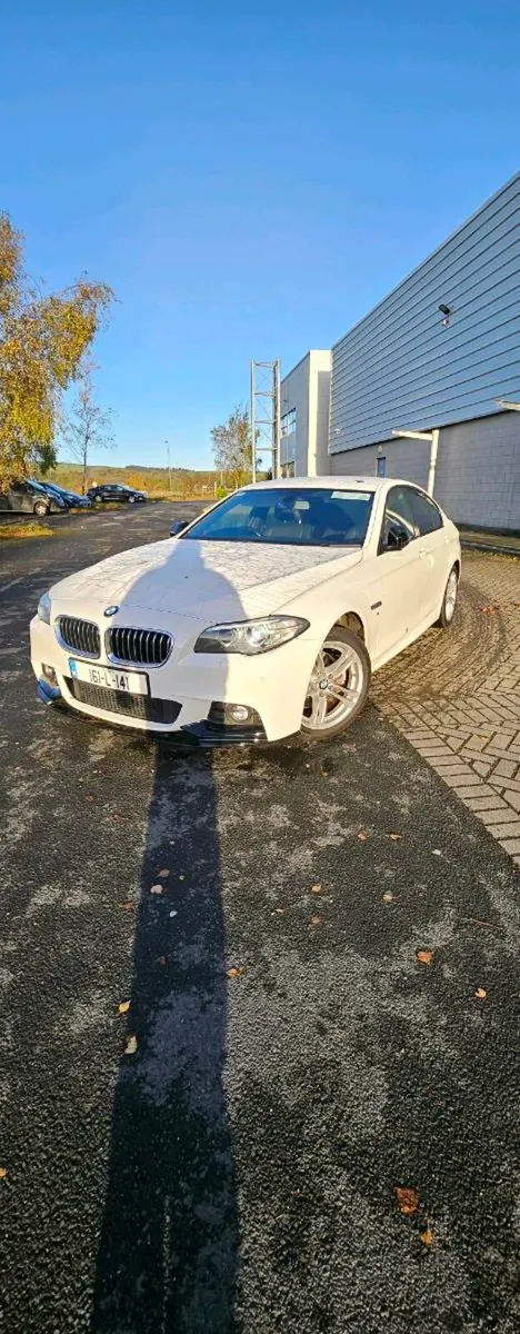 BMW 520 2.0 D AUTO 140KW - Image 2