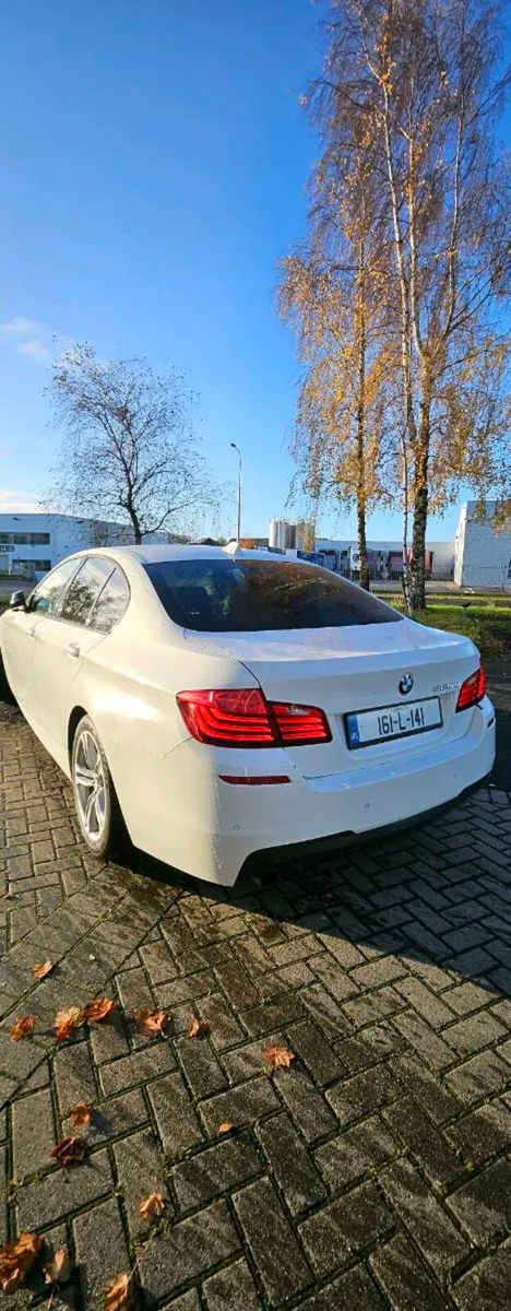 BMW 520 2.0 D AUTO 140KW - Image 3