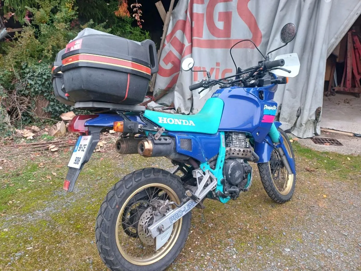 Honda NX650 Dominator - Image 2