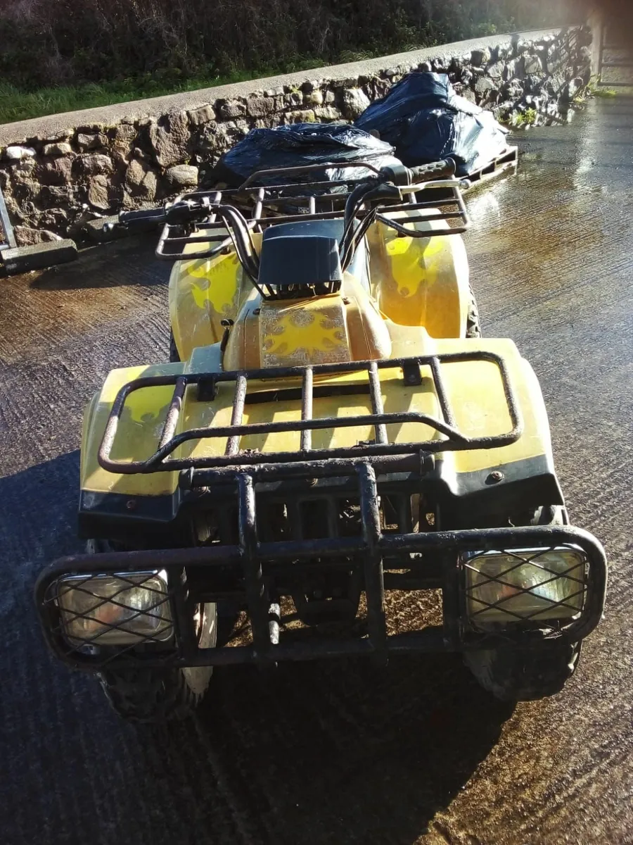 Quad - Image 1