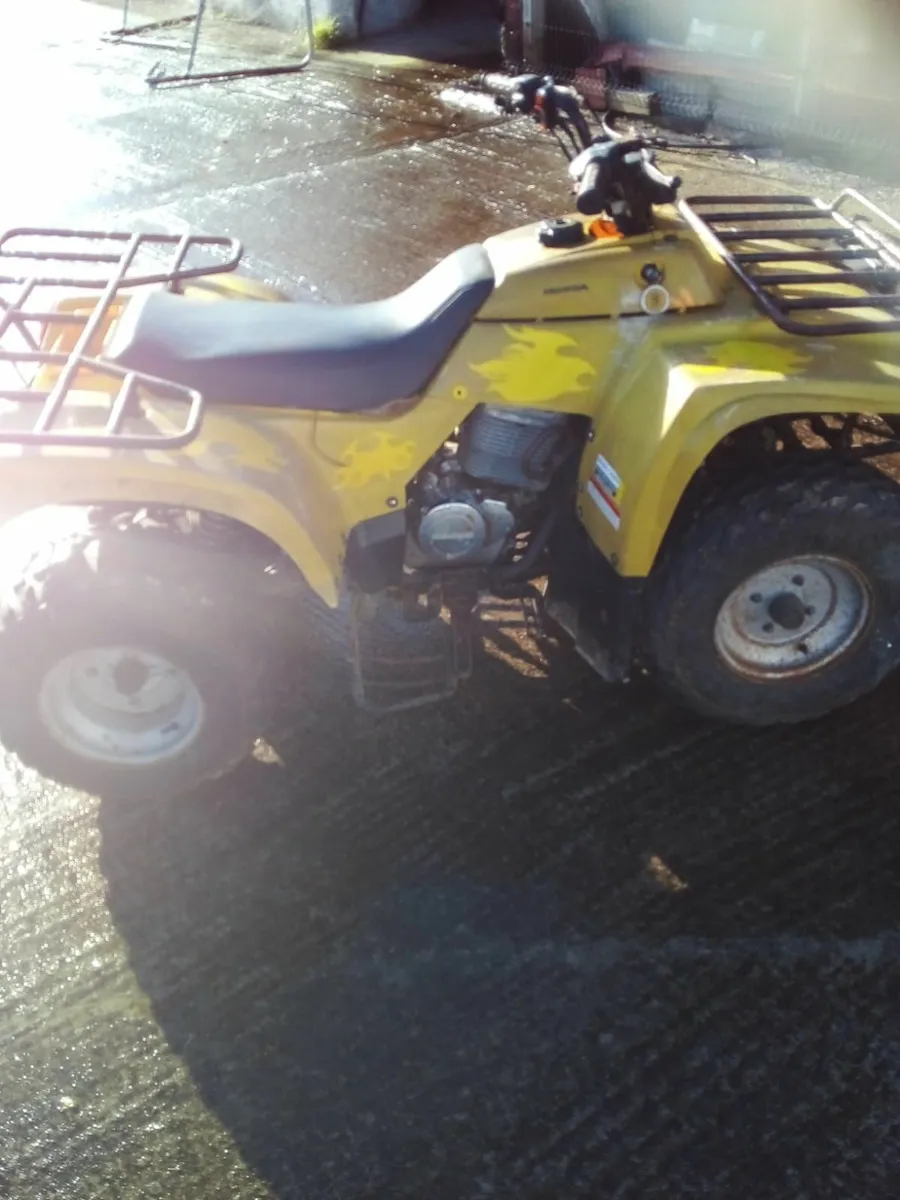 Quad - Image 3