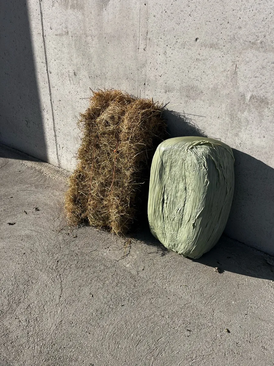 Small square bales of hay and haylage - Image 1