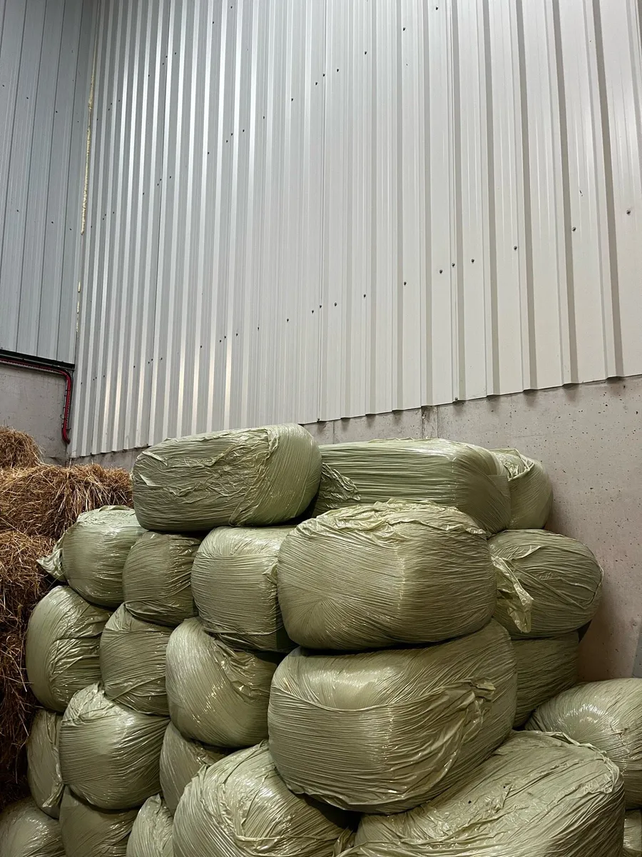 Small square bales of hay and haylage - Image 2
