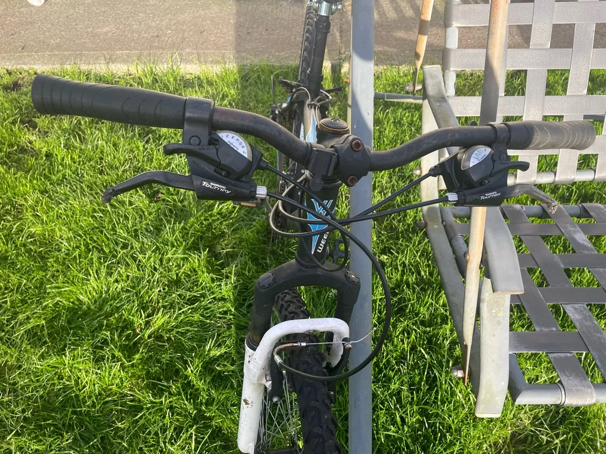 Bike - Image 3
