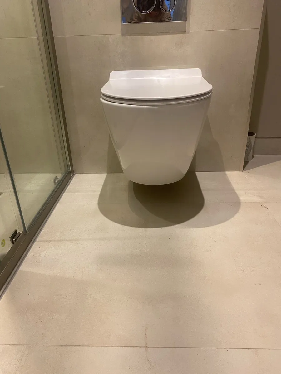 Wall hung toilet rea rimless with soft close seat - Image 2