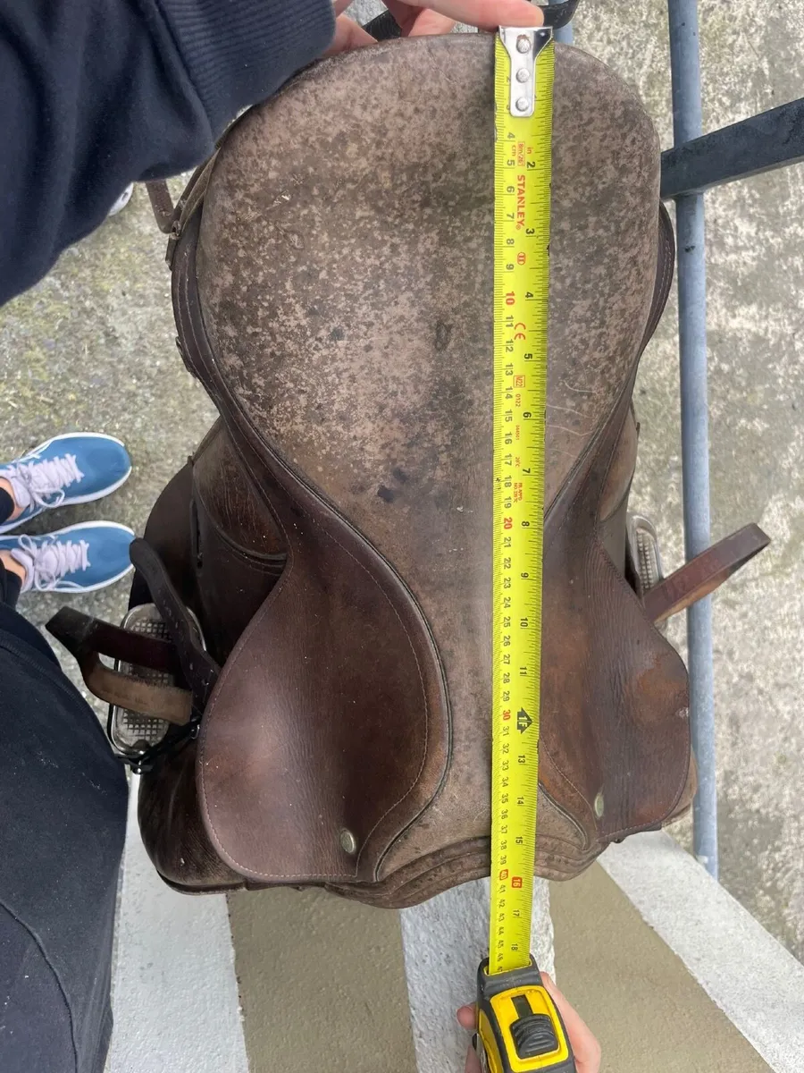 Horse Tack & Equipment - Image 1