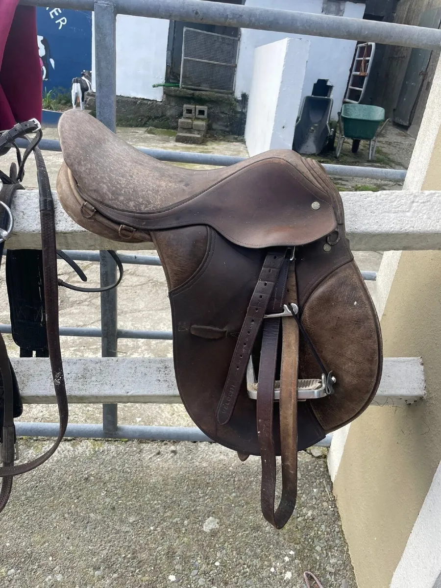 Horse Tack & Equipment - Image 2