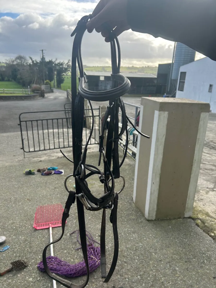 Horse Tack & Equipment - Image 3