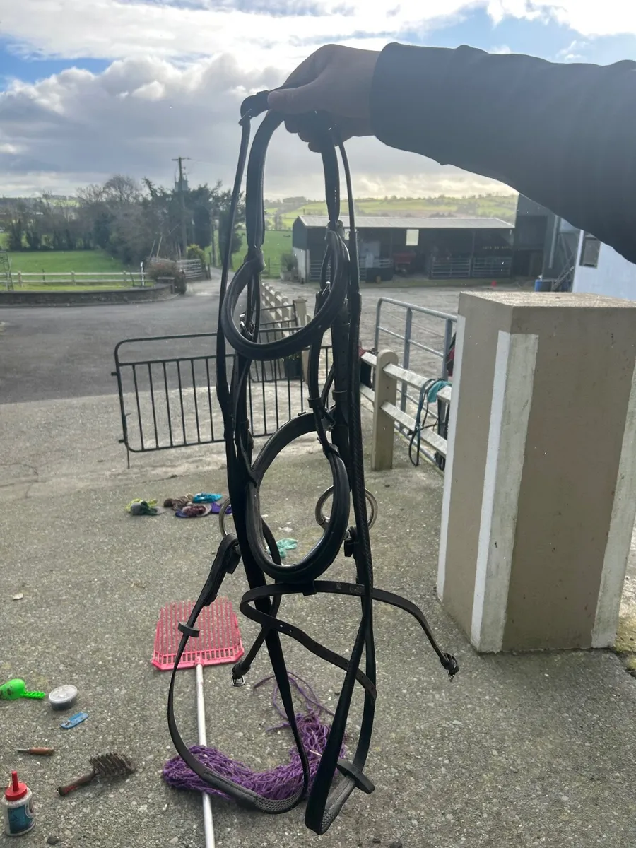 Horse Tack & Equipment - Image 4