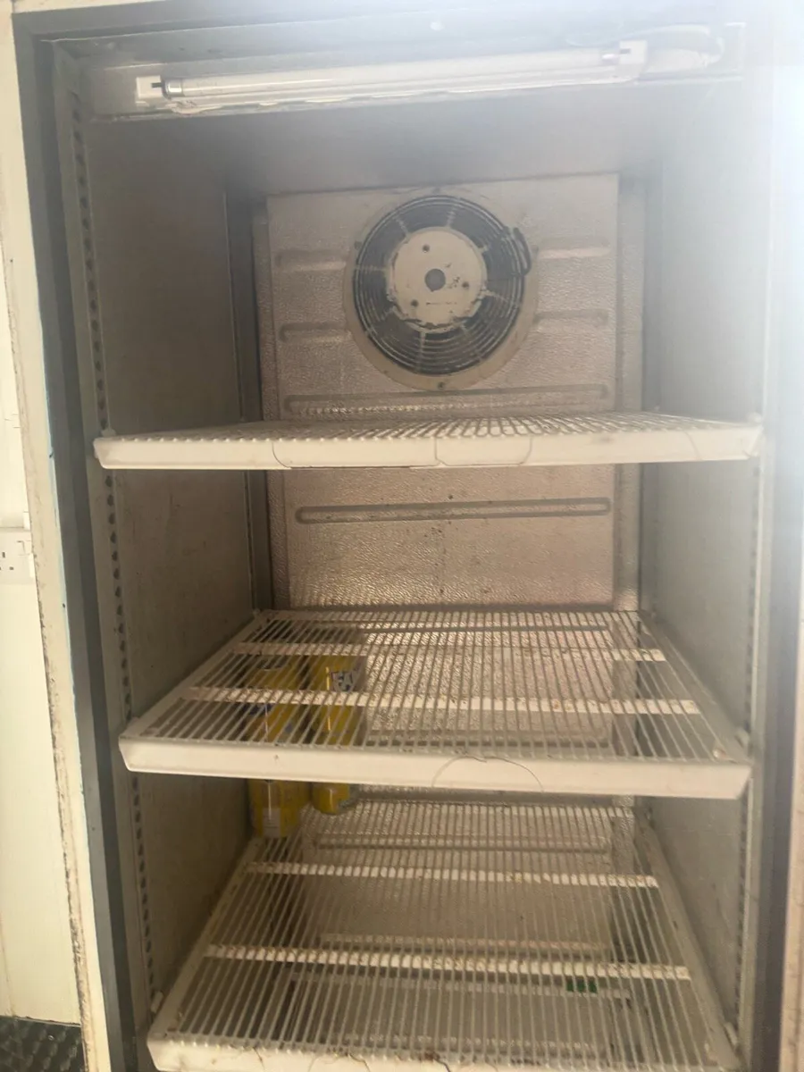 Display fridge - Image 2