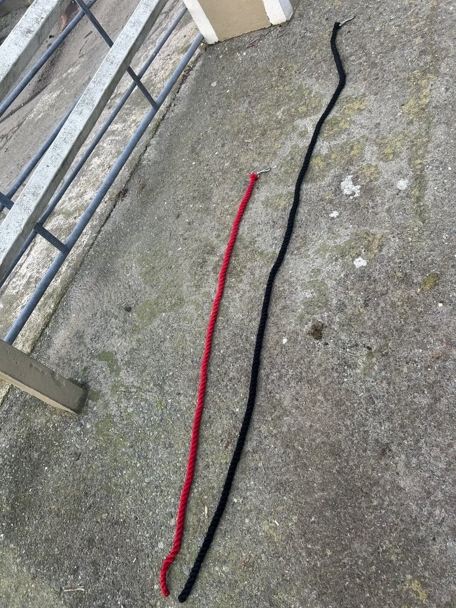 Horse care equipment - Image 2