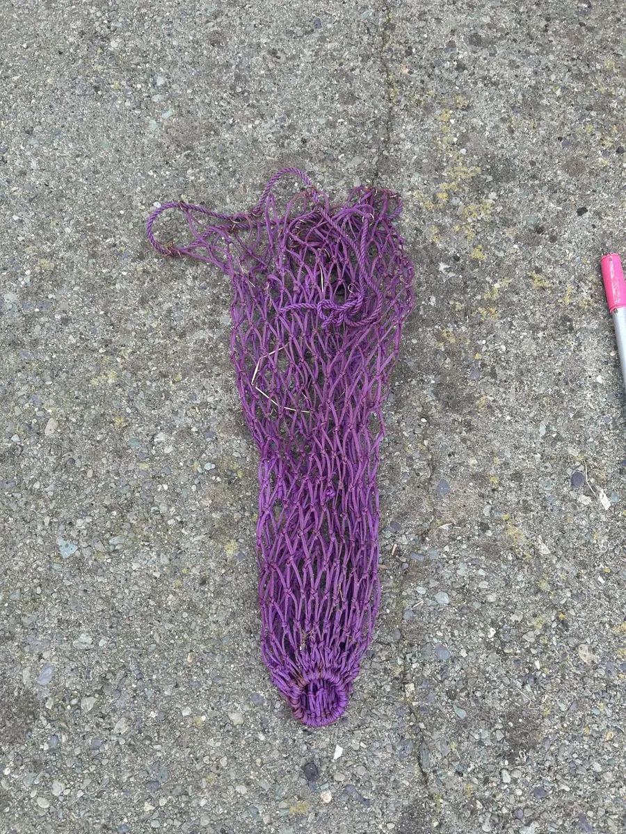 Horse care equipment - Image 4