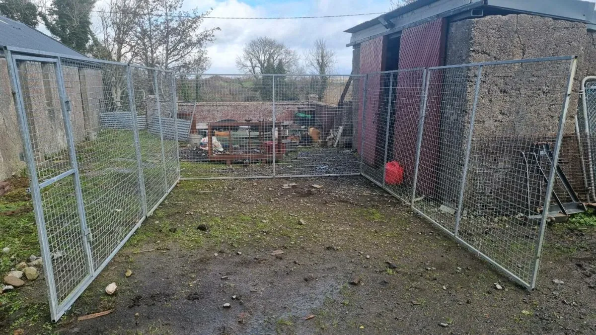 Dog pen