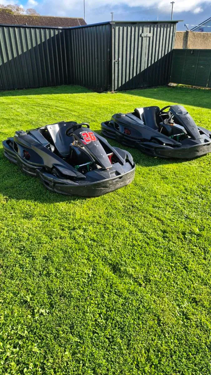 Pair of Sodi Go Karts - Image 1