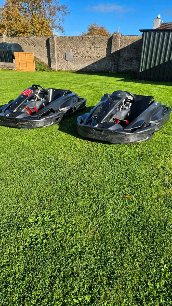 Pair of Sodi Go Karts - Image 3