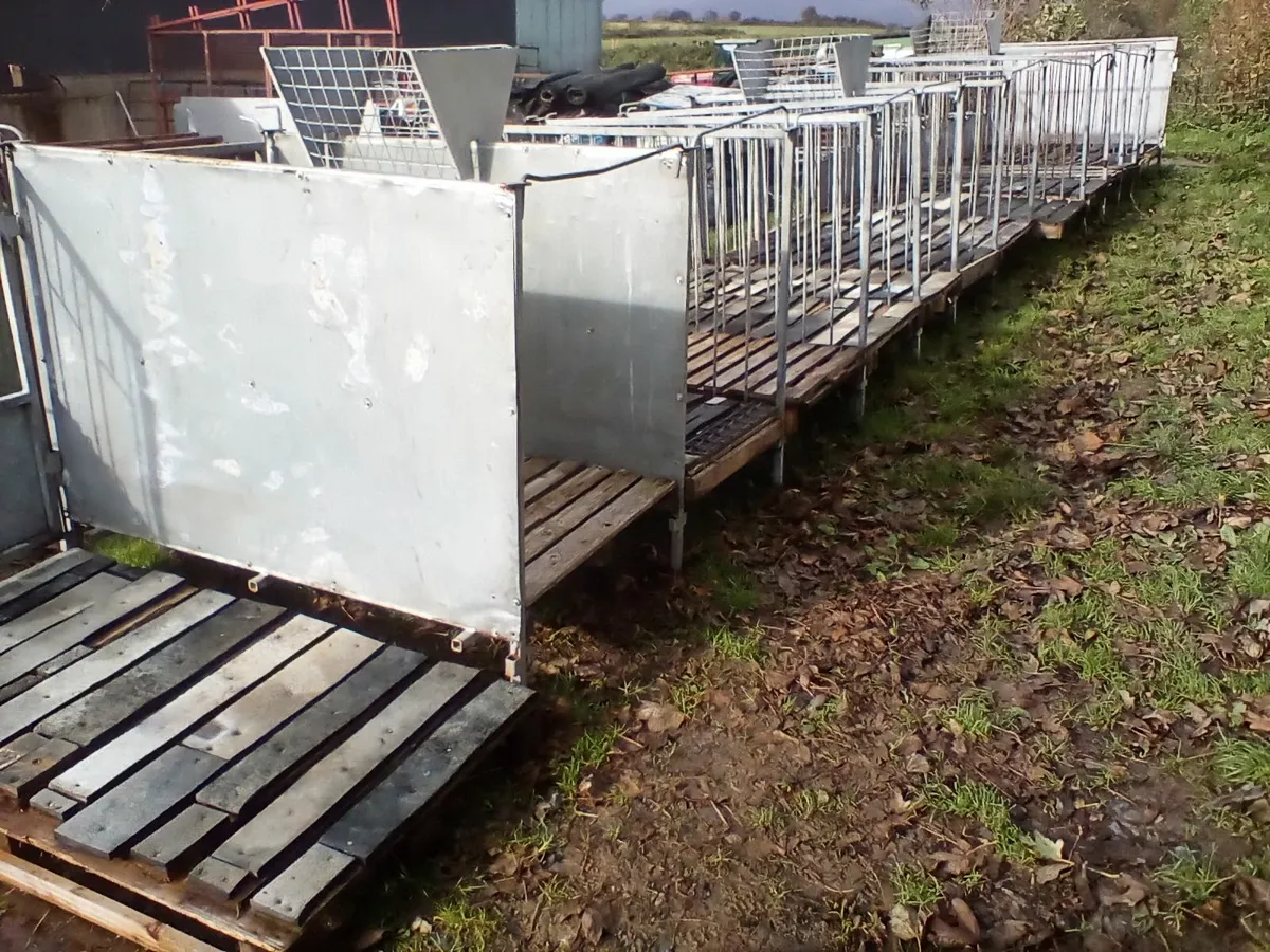 Cow and calf comfort - Image 4